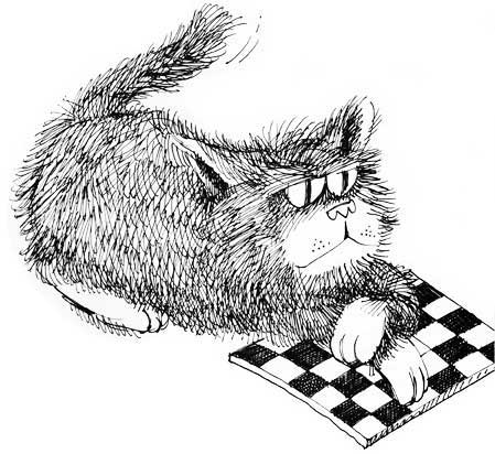 cat chess