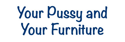 Your Pussy and your Furniture